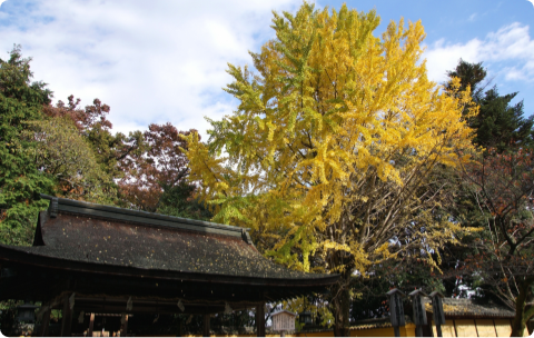 金比羅山（香川県）：写真